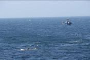 2009 Indian Navy Chetak Somalia Piracy Sanderling Ace
